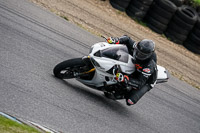 enduro-digital-images;event-digital-images;eventdigitalimages;lydden-hill;lydden-no-limits-trackday;lydden-photographs;lydden-trackday-photographs;no-limits-trackdays;peter-wileman-photography;racing-digital-images;trackday-digital-images;trackday-photos